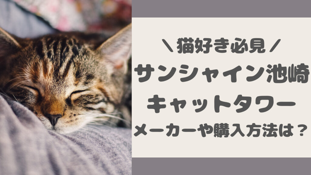 サンシャイン池崎のキャットタワー