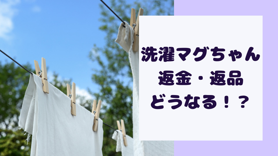 洗濯マグちゃんの返金や返品はできるのか 商品回収についても調べてみた ミルクな暮らし