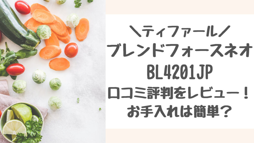 ティファールBL4201JPの口コミ評判をレビュー